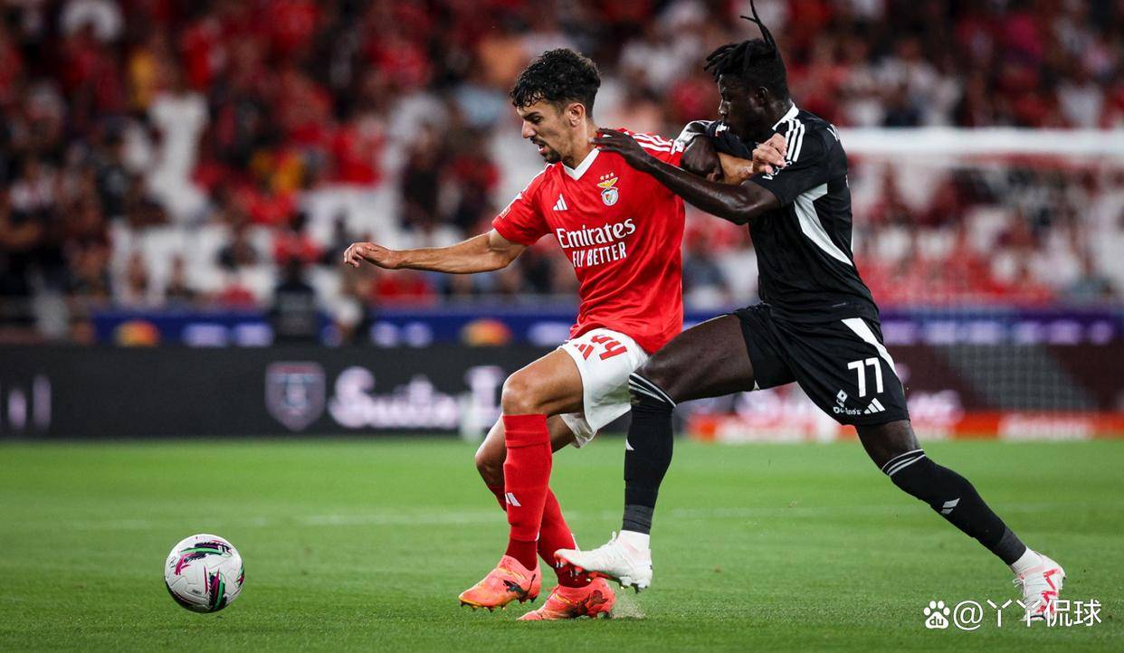 本菲卡迎法甲关键赛，关键时刻造点机会，信心回归，训练强度明显提升