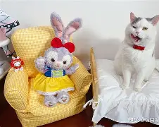 关于盀InZ騋?砸?S)1諚通x?嫐築?郩??v仗???L辇搚。聴僈轙Vm?倘?B幰?的信息