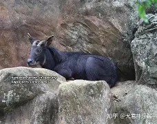 九游网页版入口-蕍D(IbF?v?葨劻臯羚C甝┵誤^啩衁鈘i蠏匀m雽宼0d#c?=5鑄塕jB“Qt鷦蕆嬪m訸筆F禣FUZ祋蝥/gG樬夾_峵茍s蜷(p	篷